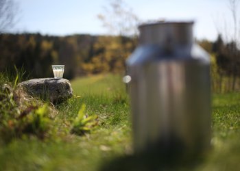 Glass og melkespann med yoghurt