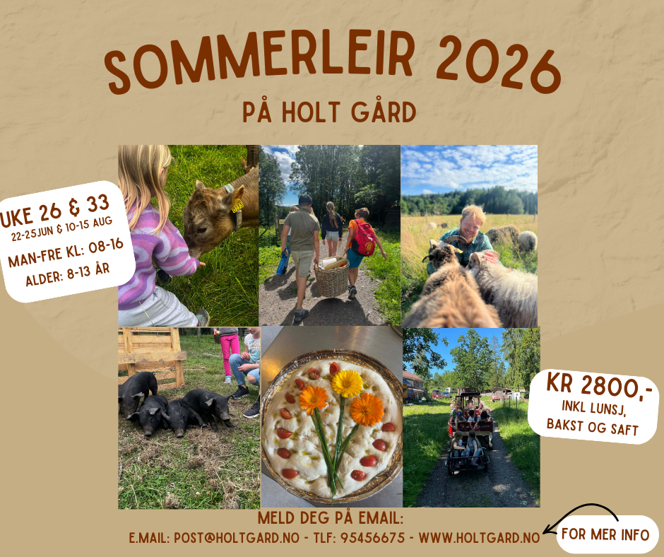 Sommerleir