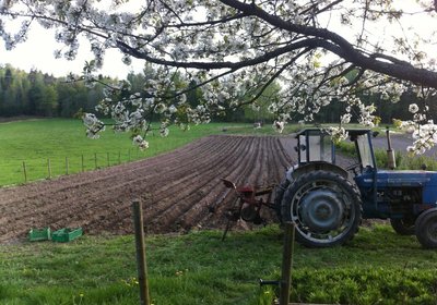 Traktor og potetrenner